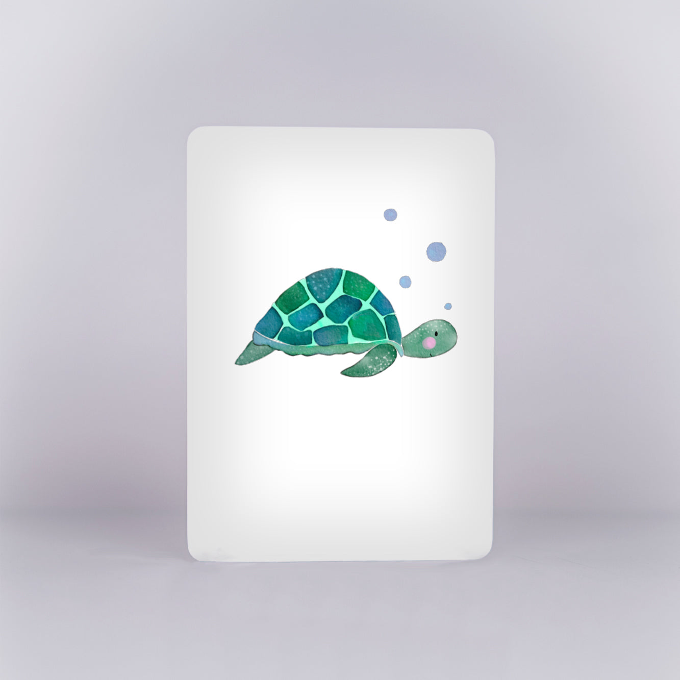 Schildkröte