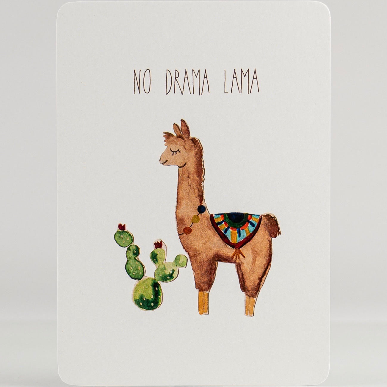 Lama - No Drama Lama